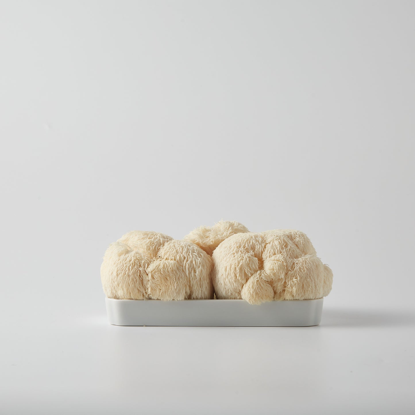 MUJAGI – Square flat bar(Gloss)