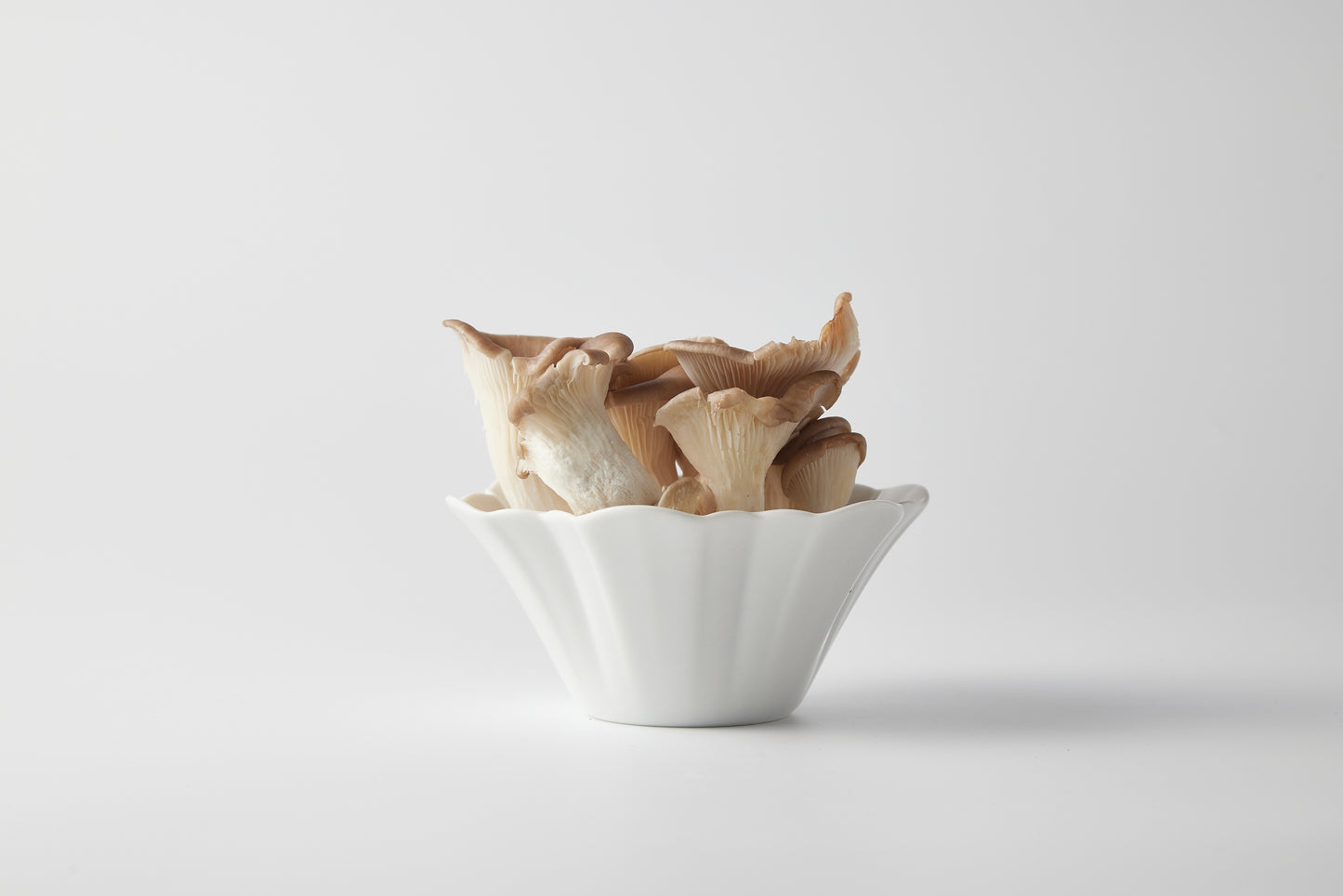 MUJAGI – Flower 06 Mini bowl(gloss)