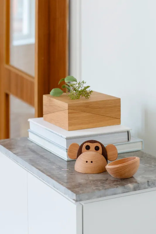 Spring Copenhagen The Monkey Bowl