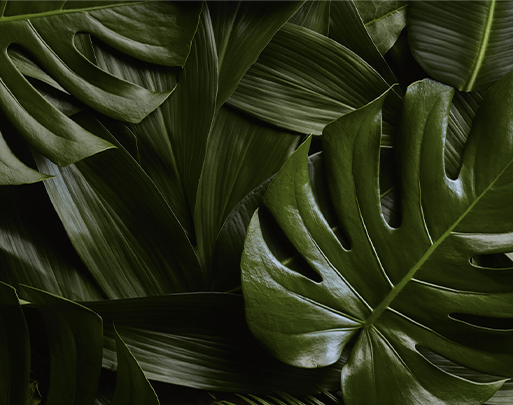 (7 COLORS) Sabre Bistrot shiny cutlery 4pcs